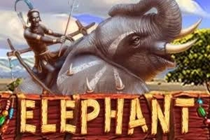 PLAYSTAR : ELEPHANT - BEERSLOT365