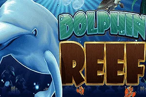 Dolphin Reef - BEERSLOT365