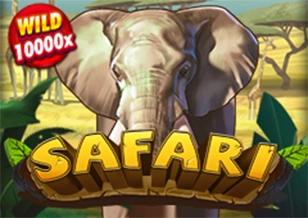 Safari - BEERSLOT365