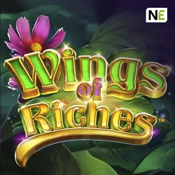 Wings of Riches - BEERSLOT365