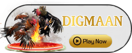 Digman - BEERSLOT365